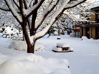 Flagstaff Village Apartment in Winter