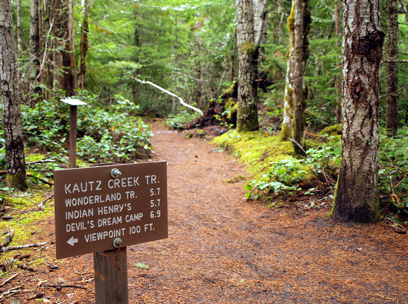 Kautz Creek Trail