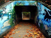 Colorful Railroad Underpass