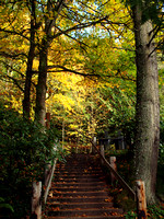 Fall Staircase