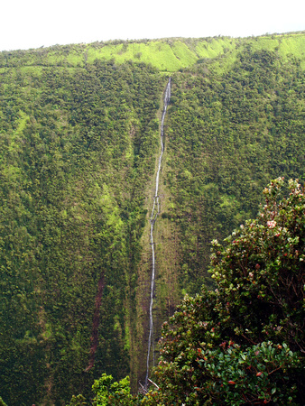 Honopue Valley