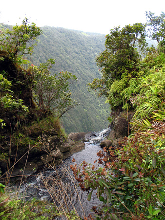 Honopue Valley Overlook