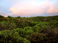 Honokane Nui Ridge