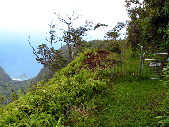 Honopue Valley Overlook