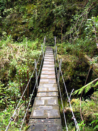 Honopue Valley Bridge