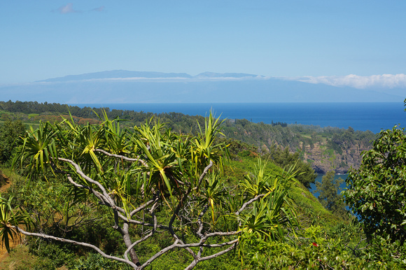 View of Maui from Honokane Ridge