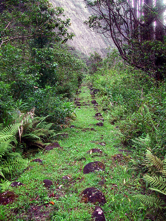 Inner Honokane Nui Path