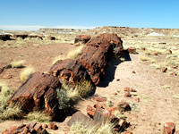 Petrified Forest National Monument